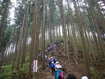 ５年生春の遠足