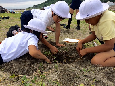 ４年生夏の学校　【５日目更新しました】
